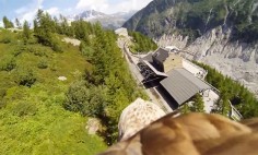 They Attached A Camera With An Eagle and What It Recorded is Breathtaking!