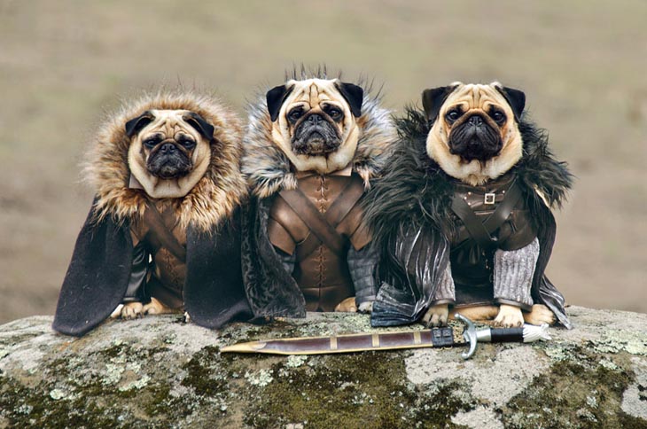 Robb Stark, Ned (Eddard) Stark and Jon Snow