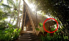 Do You Think Living In Bamboo Huts Are Underprivileged? Think Again!