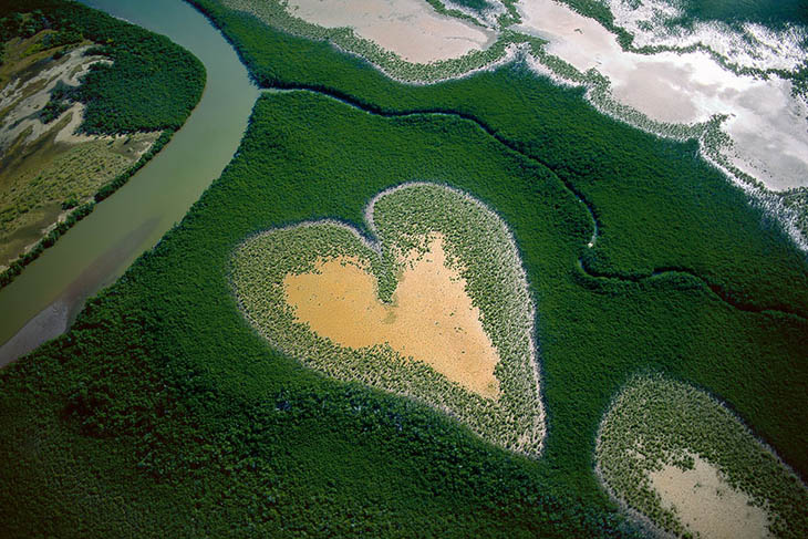 Mangroves in New Caledonia