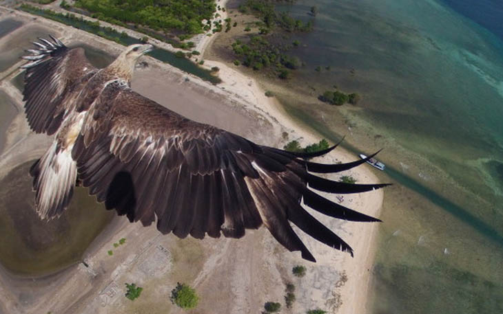 Breath-Taking Photos Captured By Drones