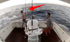 They Are Out For Fishing. What Happened Next Is Unbelievable!