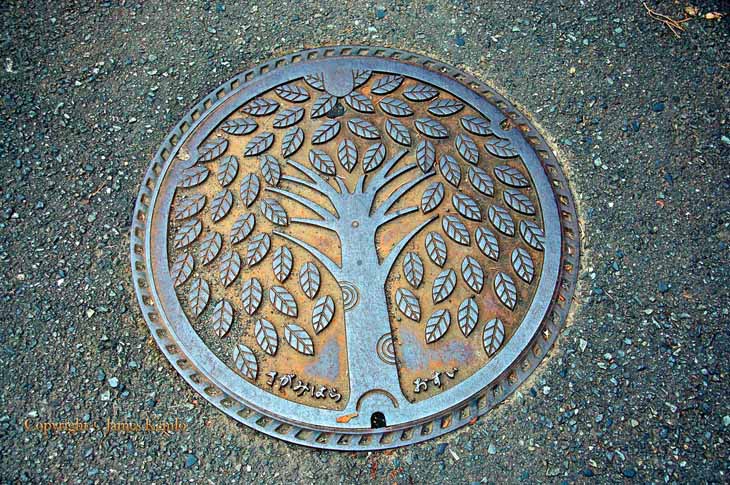 Creative Manhole Covers