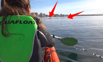 They Went For Kayaking And Spotted Something In Water. You Won’t Believe What Happened Next!