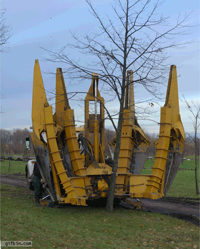 This tree removal equipment.