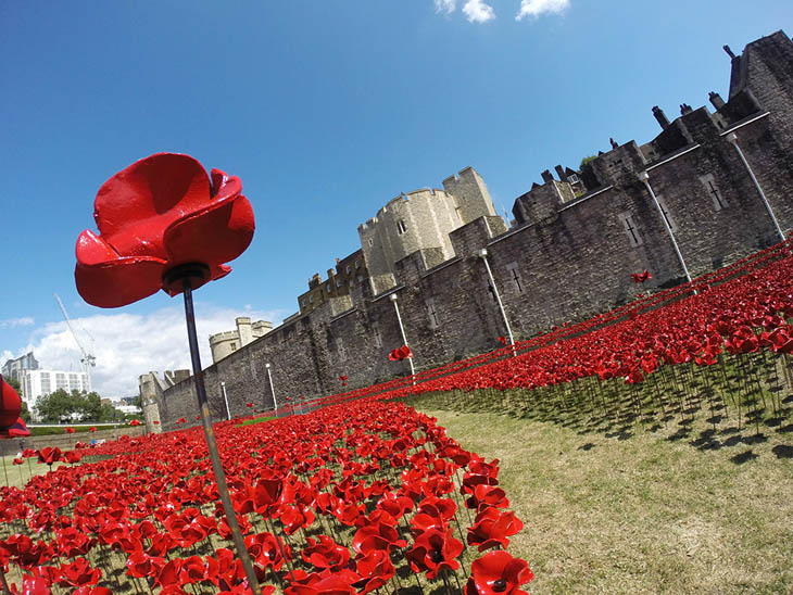 Blood Swept Lands and Seas of Red at The Tower of London, UK.