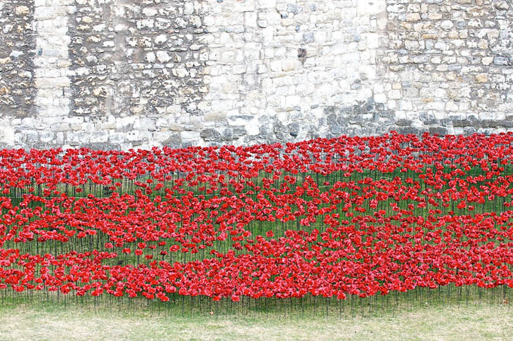 Blood Swept Lands and Seas of Red at The Tower of London, UK.