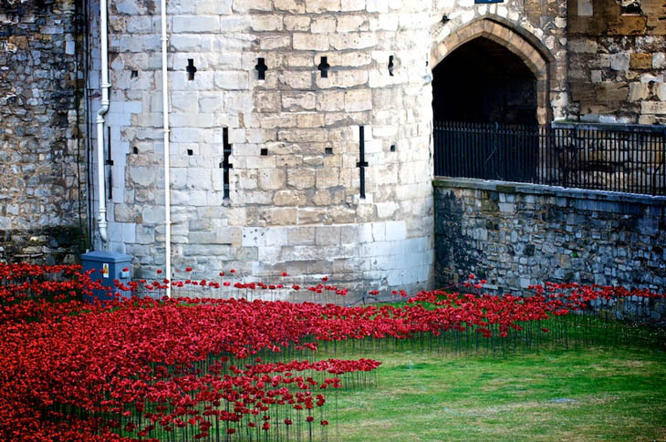 Blood Swept Lands and Seas of Red at The Tower of London, UK.