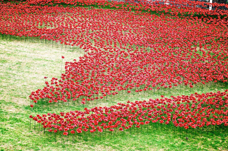 Blood Swept Lands and Seas of Red at The Tower of London, UK.