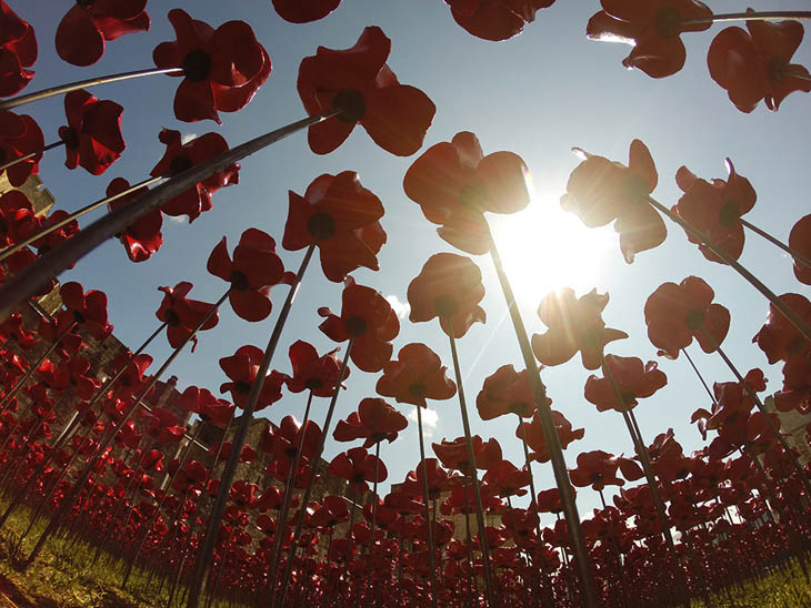 Blood Swept Lands and Seas of Red at The Tower of London, UK.