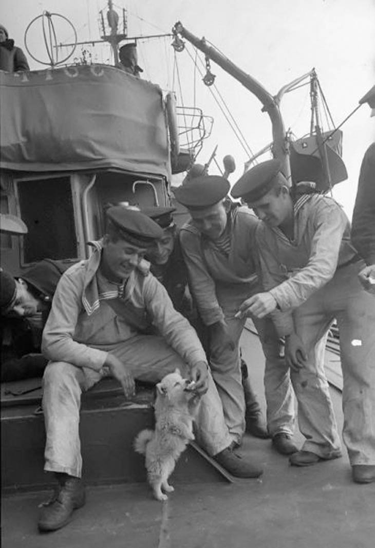 Soldiers With Their Pets