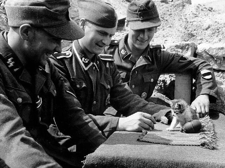 Soldiers With Their Pets