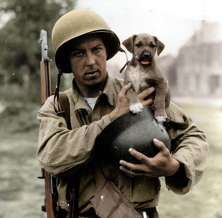 Soldiers With Their Pets