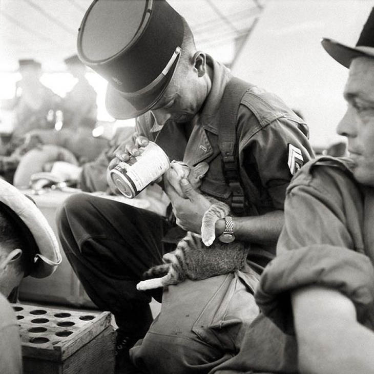 Soldiers With Their Pets