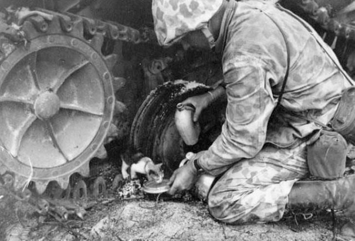 Soldiers With Their Pets