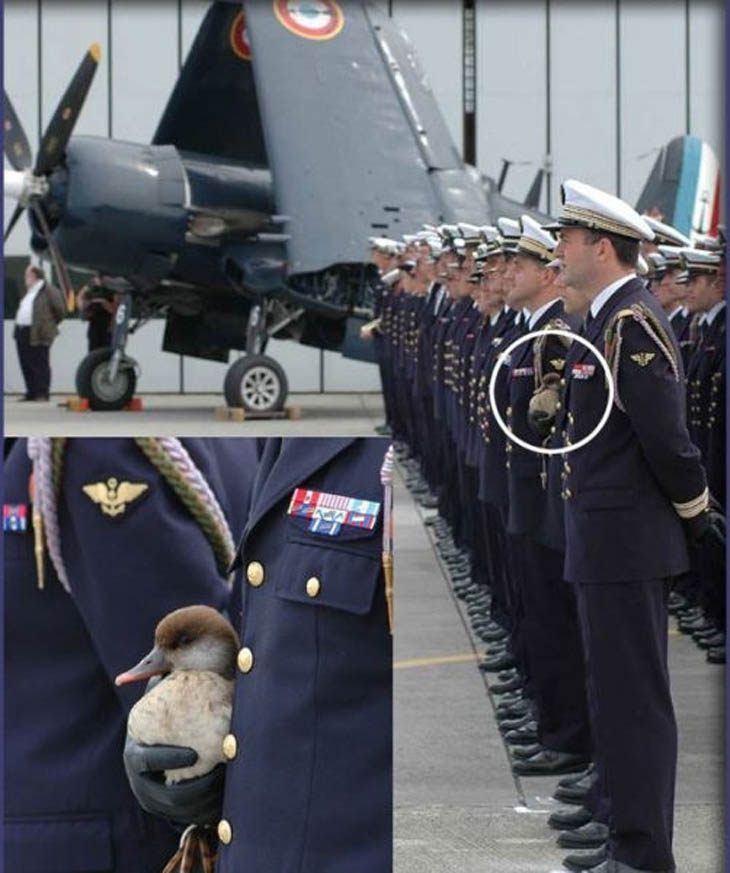 Photos of Soldiers With Their Pets