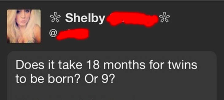 Shelby and her knowledge.