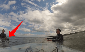 A Surfer Got Shocked When He Found An Unexpected Visitor. This Is Incredible!