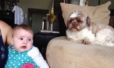 This Could Be The Cutest Baby Argument You’ve Ever Seen. It’s Cuteness Overload!