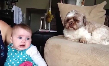This Could Be The Cutest Baby Argument You’ve Ever Seen. It’s Cuteness Overload!