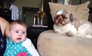 This Could Be The Cutest Baby Argument You’ve Ever Seen. It’s Cuteness Overload!