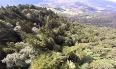 Breathtaking Footage Of A Man Flying Through The Swiss Alps. It’s Thrilling!