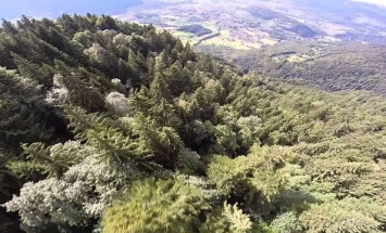Breathtaking Footage Of A Man Flying Through The Swiss Alps. It’s Thrilling!