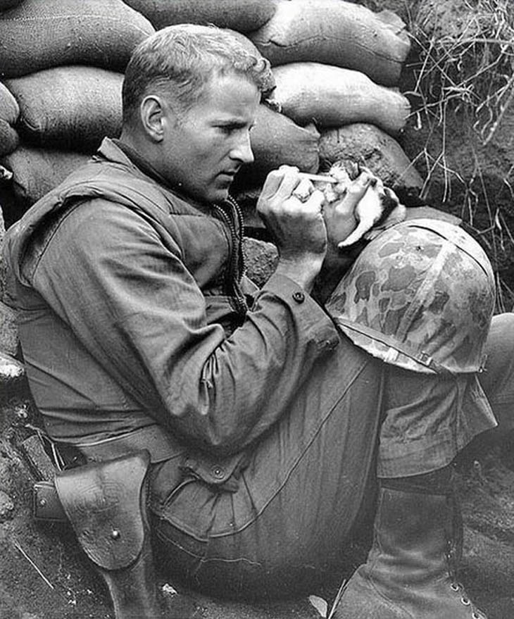 Sergeant Frank Praytor looks after a two-week old kitten during the height of the Korean War.