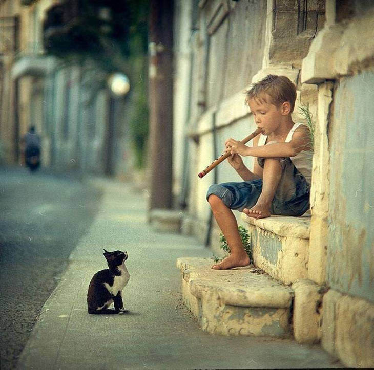 Powerful photos - Little boy playing the flute, with an attentive cat.