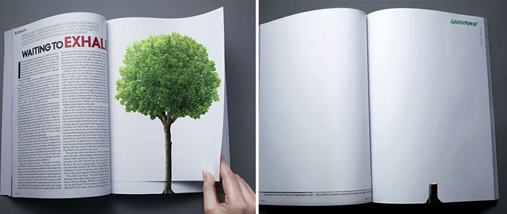 Deforestation Continues With The Turn Of A Page