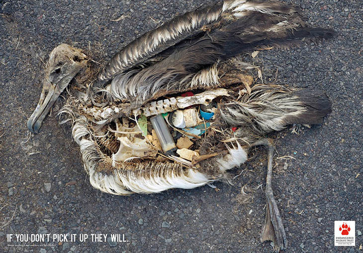 Social Issue Ads - If You Don’t Pick It Up They Will