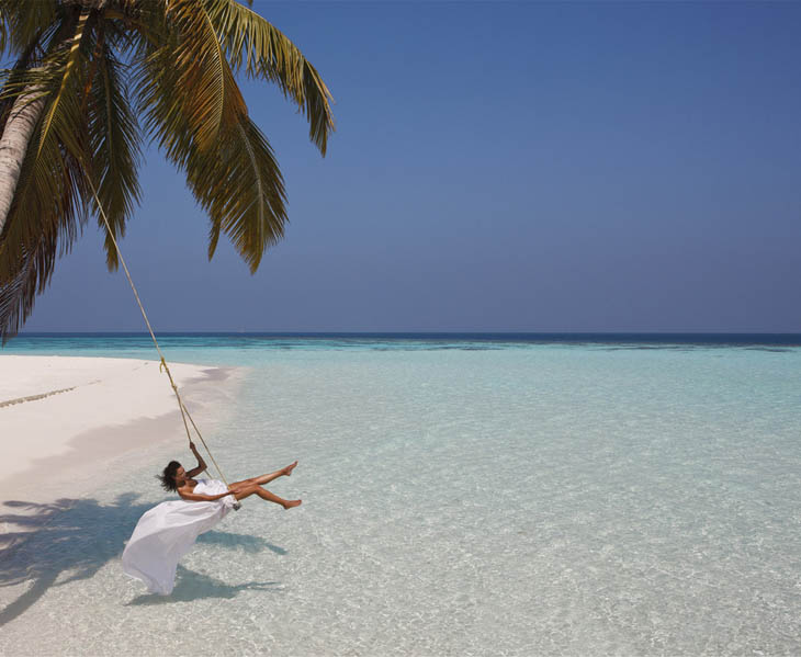 Awesome Lounging Places - Palm tree sea swing.