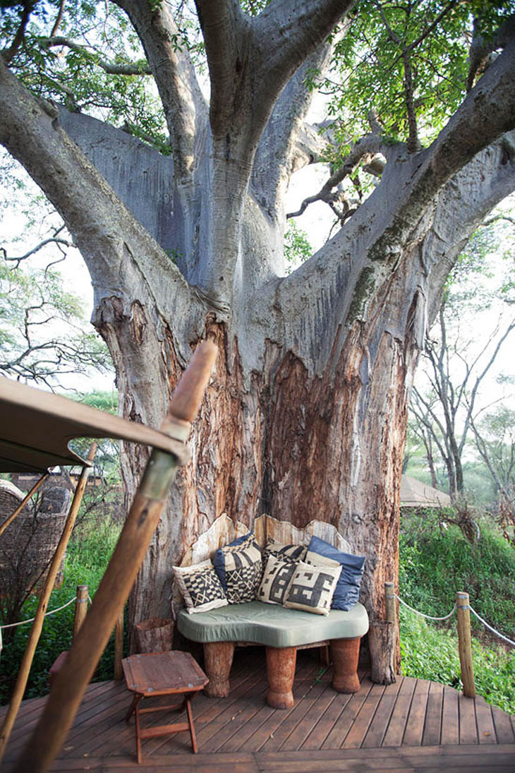 Awesome Lounging Places - This one with the large tree.