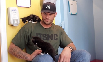 Watch These Big Men Meet Kittens For The First Time In Their Life, It’s PurrFECT!