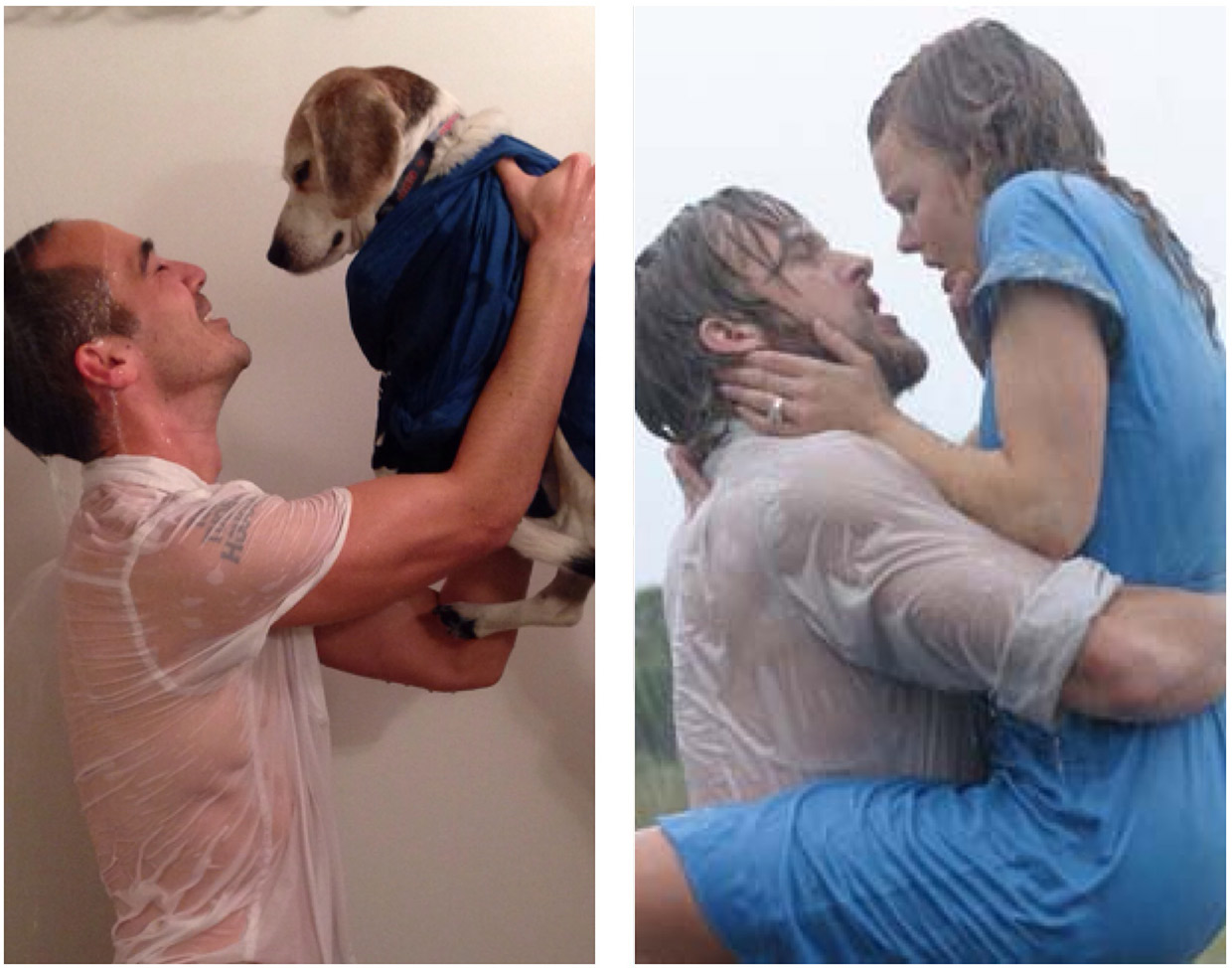 A Man Recreated Romantic Movie Scenes With His Dog! LOL!