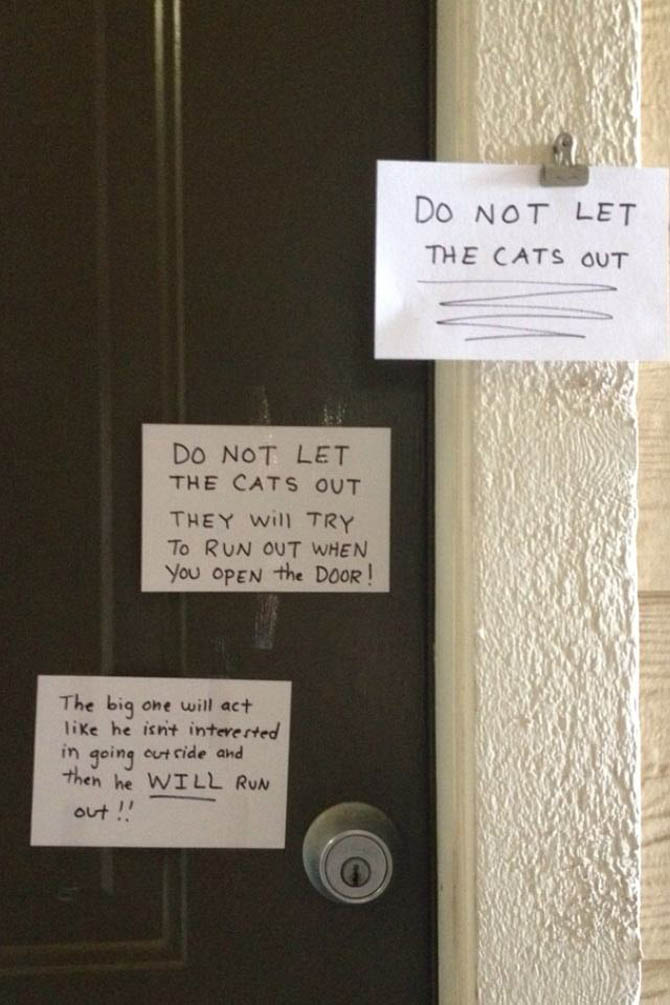 Funny But Important Notes From Total Strangers