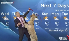 This Is The Best Weather Forecast You’ve Ever Seen! It’s Damn Hilarious!