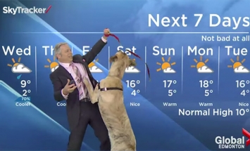 This Is The Best Weather Forecast You’ve Ever Seen! It’s Damn Hilarious!