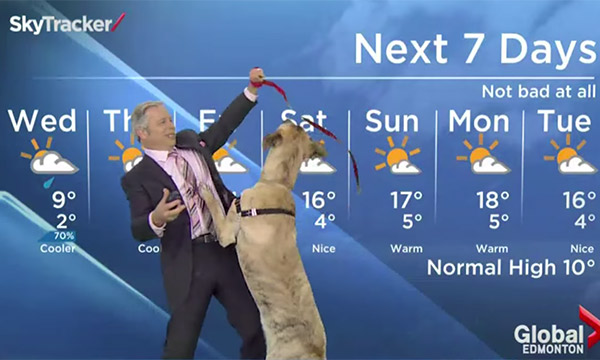 The Best Weather Forecast You've Ever Seen! It's Hilarious!
