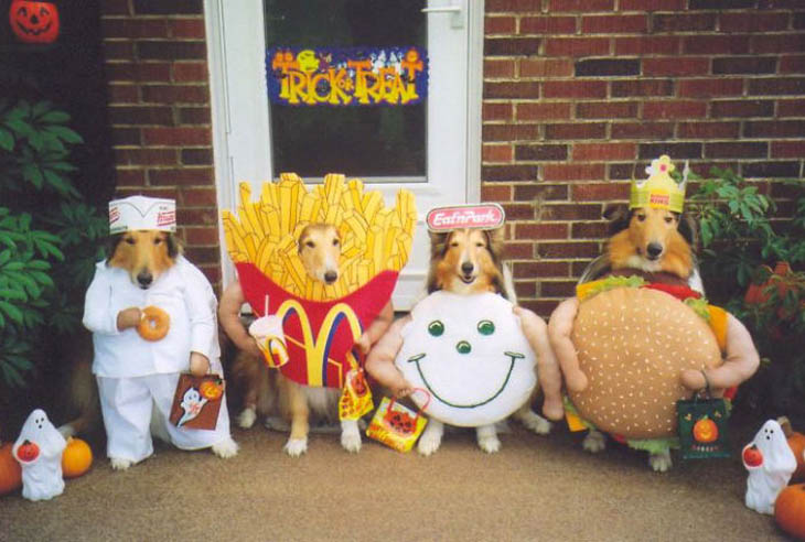 Cutely Costumed Pets