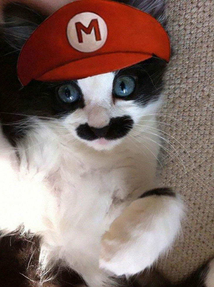 Cutely Costumed Pets