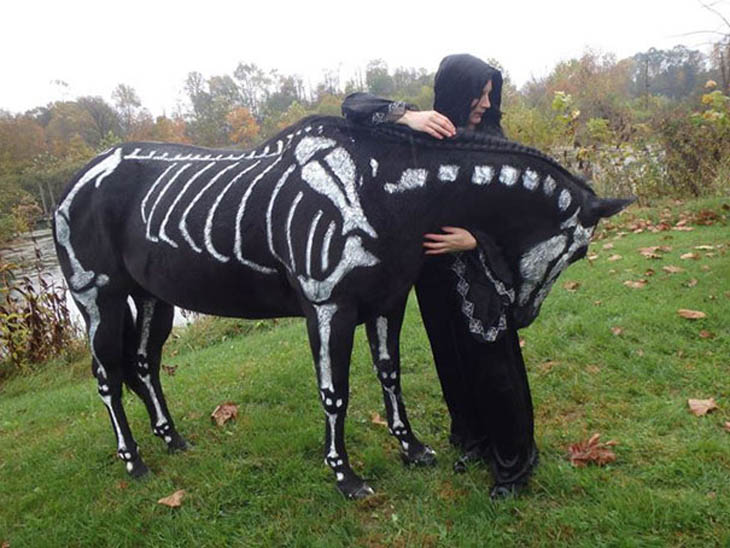 Hilarious Halloween Pet Costumes