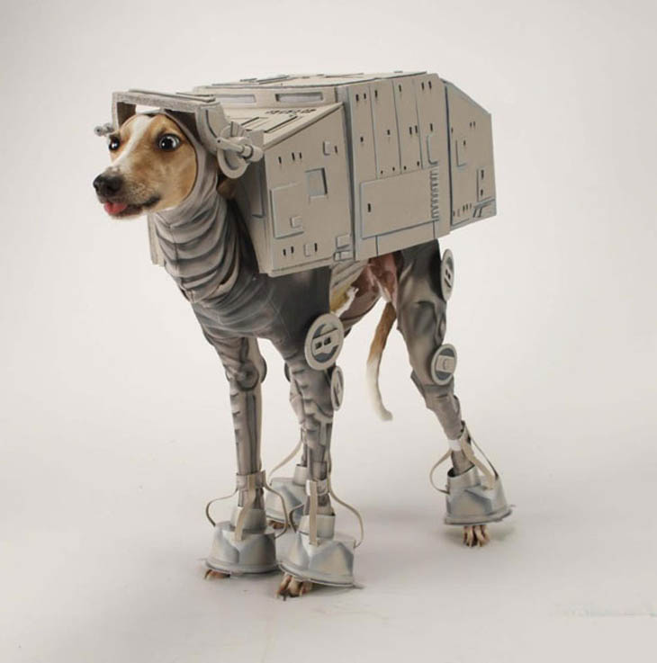 Hilarious Halloween Costumes for Pets