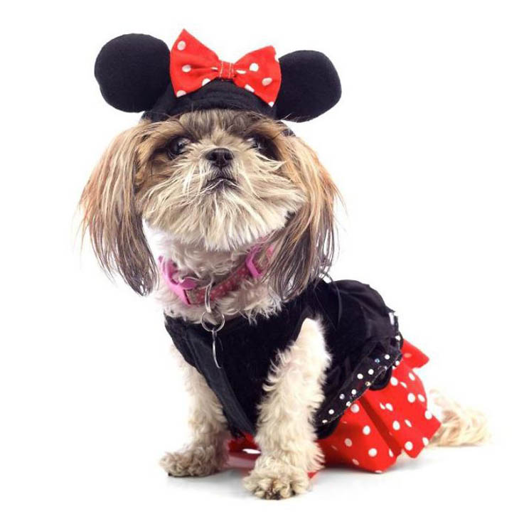 Hilarious Halloween Costumes for Pets