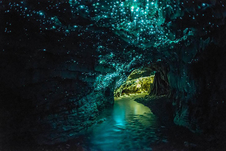 Waitomo Caves, New Zealand