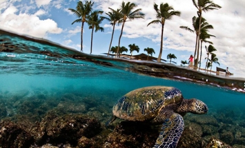 55 Breathtaking Photos That Give You Look What Lies Below Water Surface.