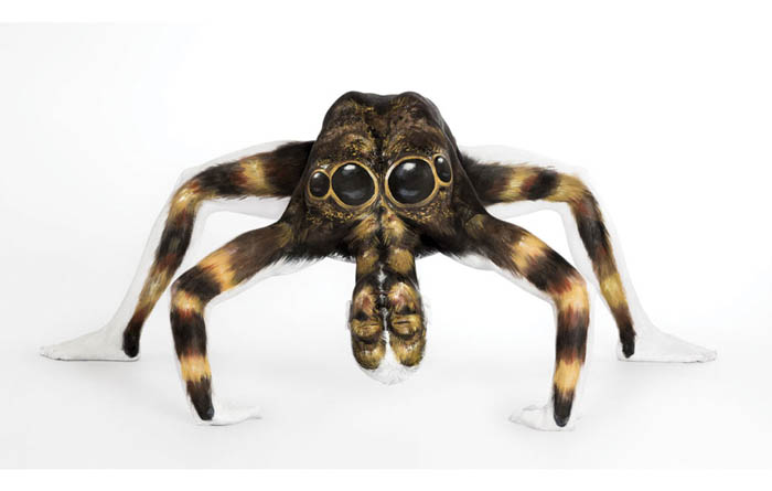 Tarantula