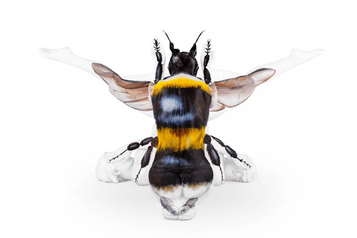 Honey Bee