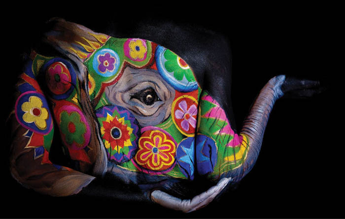 Body Painting Art - Colorful Elephant