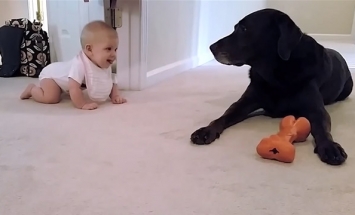 This Baby’s First Crawl With Her Dog Will Make Your Day Beautiful. It’s Heart Melting!